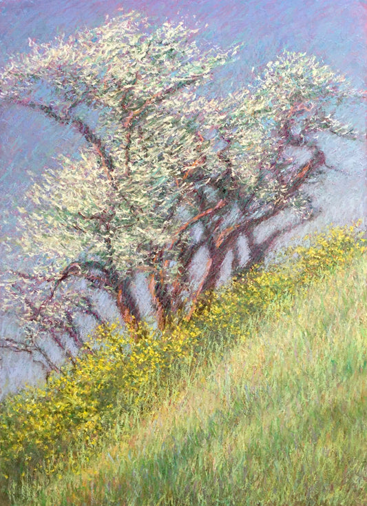 Spring Tree