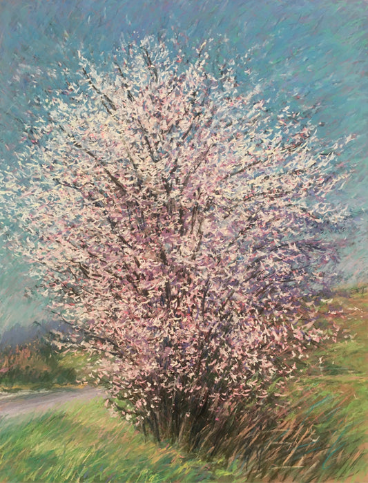 Valley Blossoms