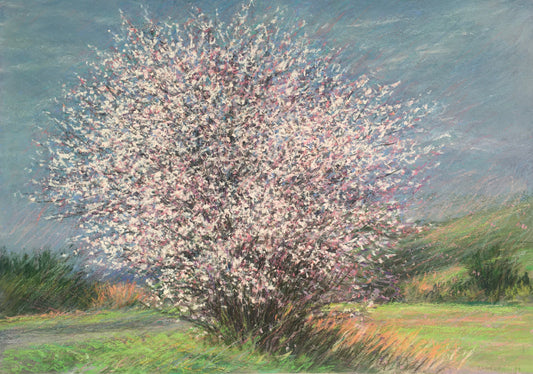 Valley Plum 2