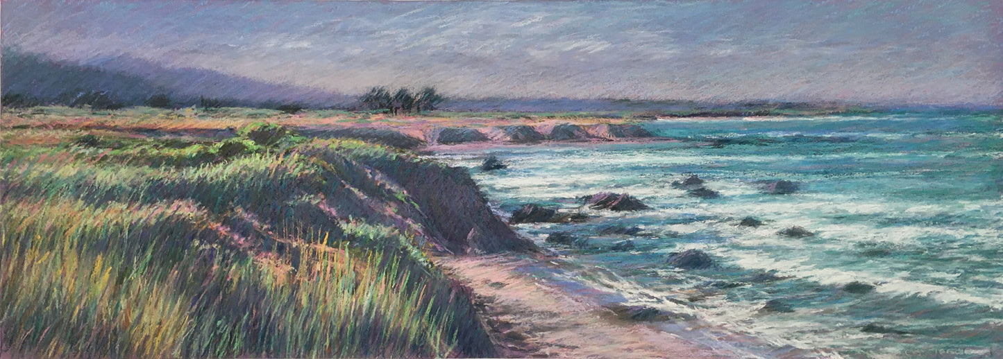 View of Franklin Point, Morning Surf