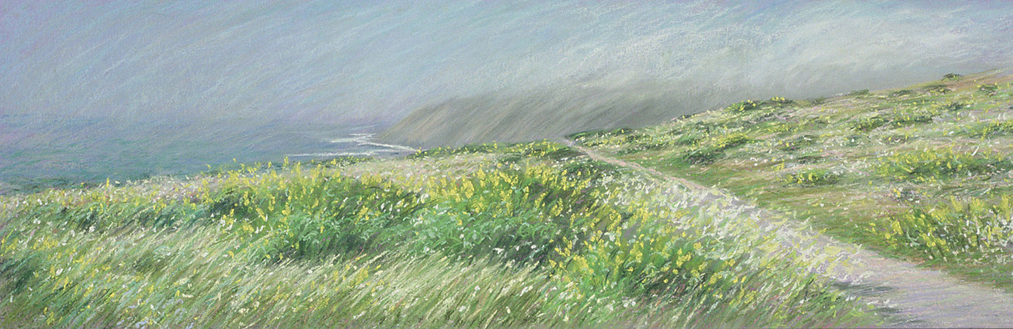 Pierce Point Trail: Yellow Lupine