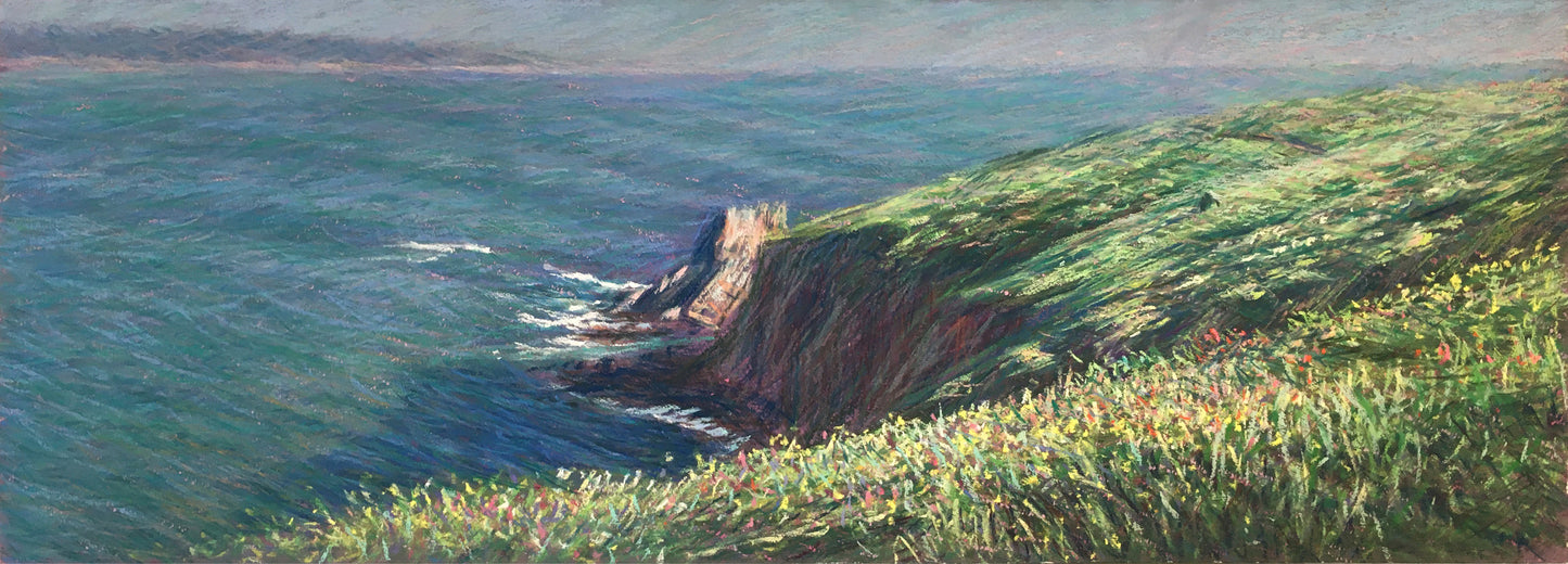 Chimney Rock, Point Reyes