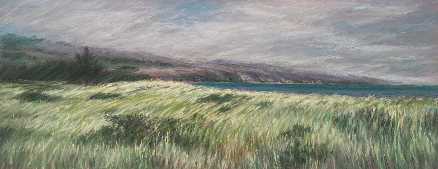 Bodega Bay
