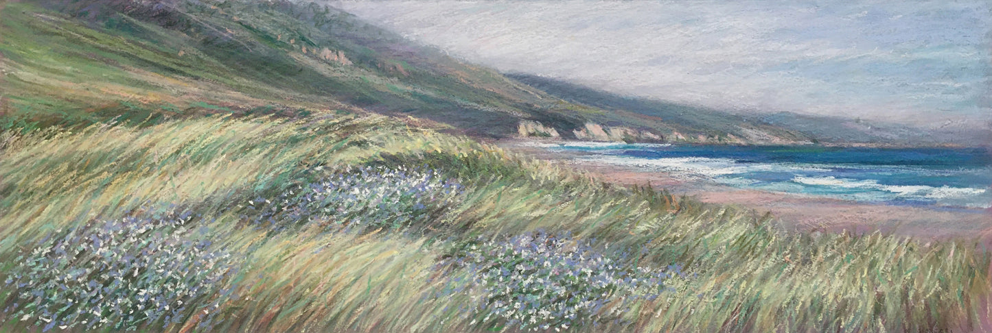 Limantour Beach and Dunes