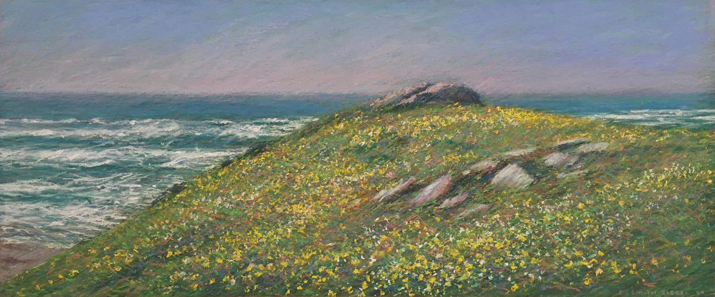 Kehoe Beach, May Flowers