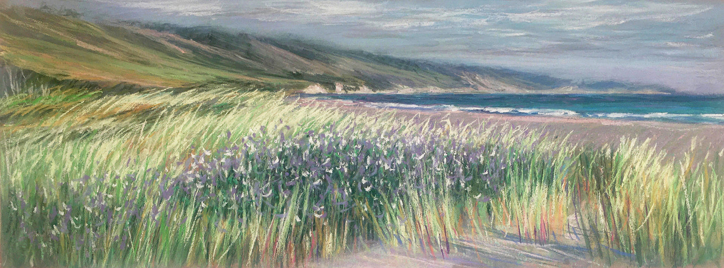 Windy Spring, Limantour