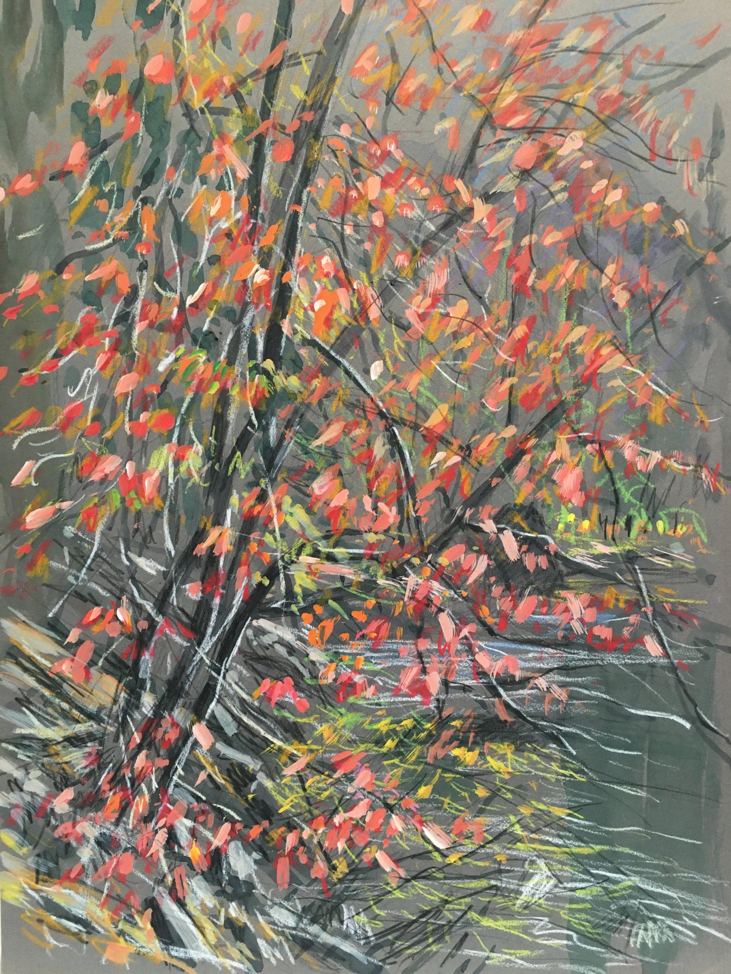 Creekside Dogwood