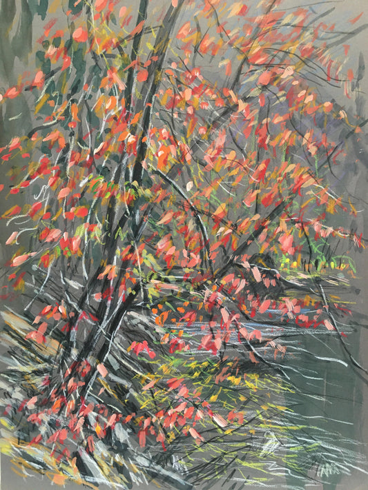 Creekside Dogwood