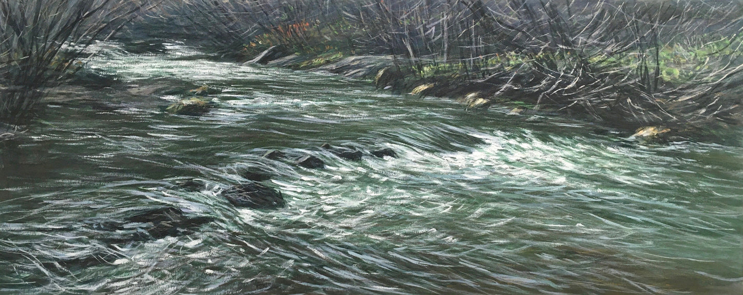Forest Stream, Winter
