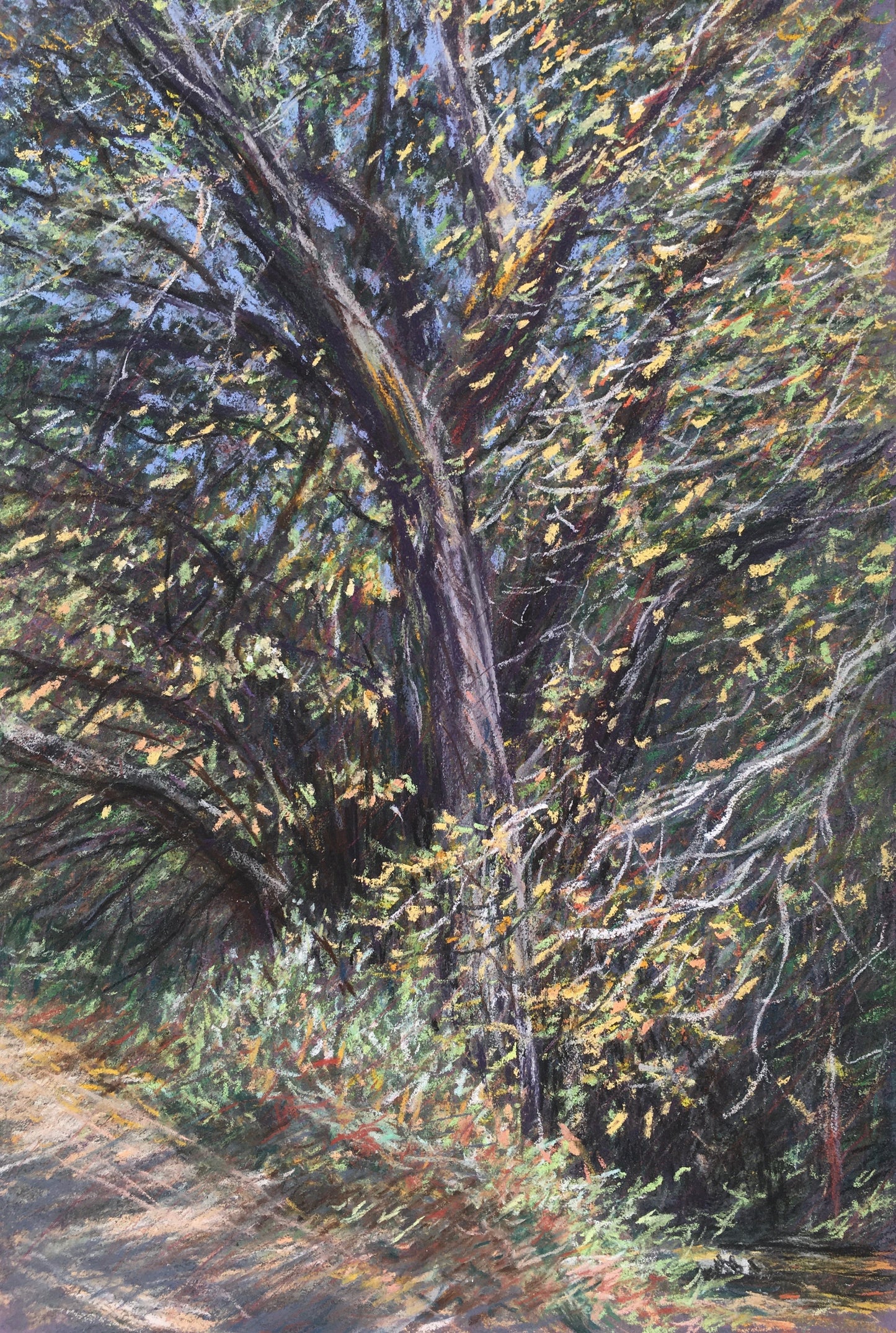 Autumn Tree