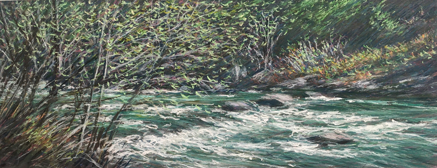 Spring Stream, McCloud River