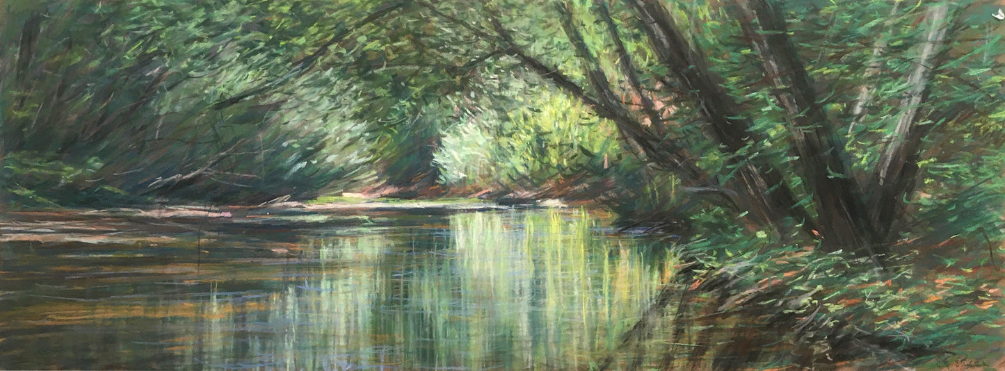 Forest Reflection