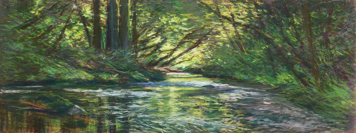Afternoon Light, Samuel P. Taylor Park