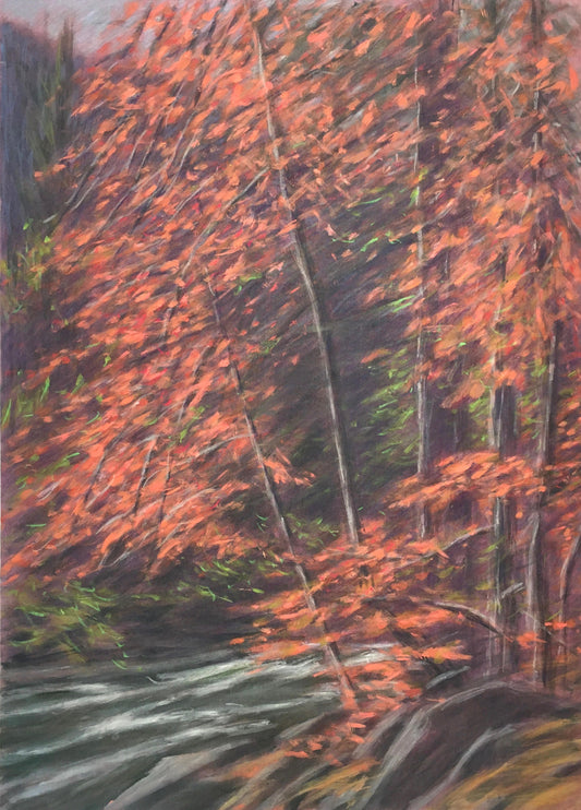 Yosemite Dogwood