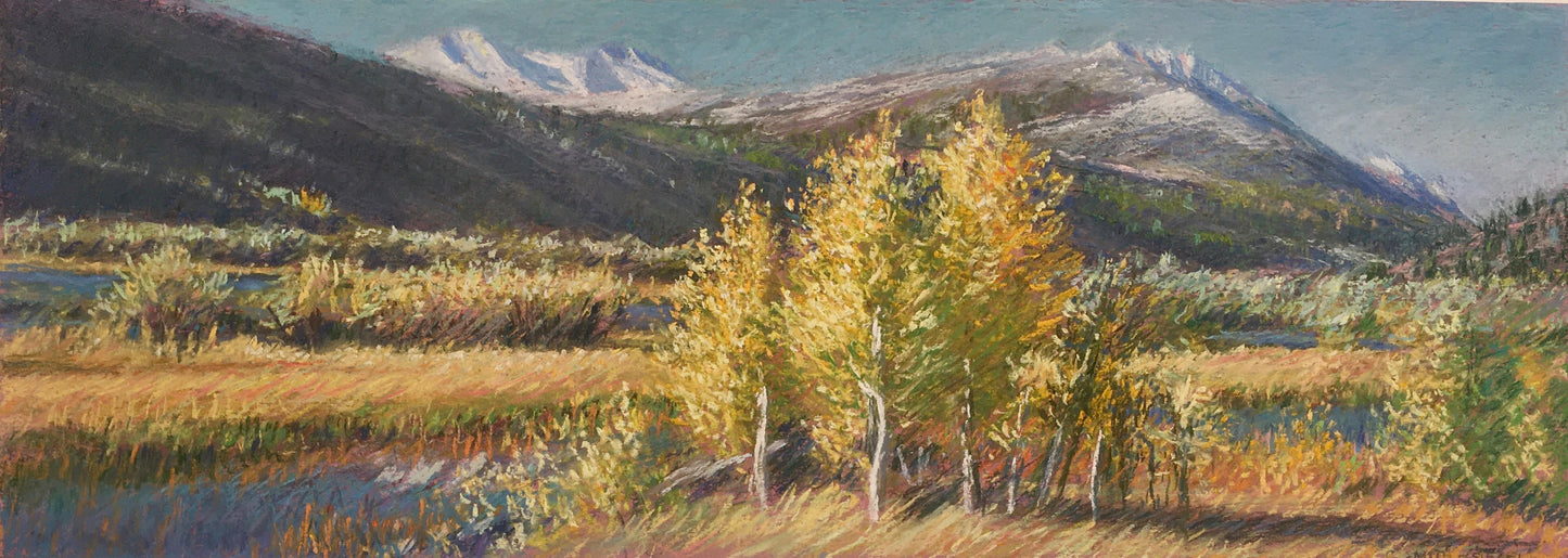 Morning Aspens, Sierras