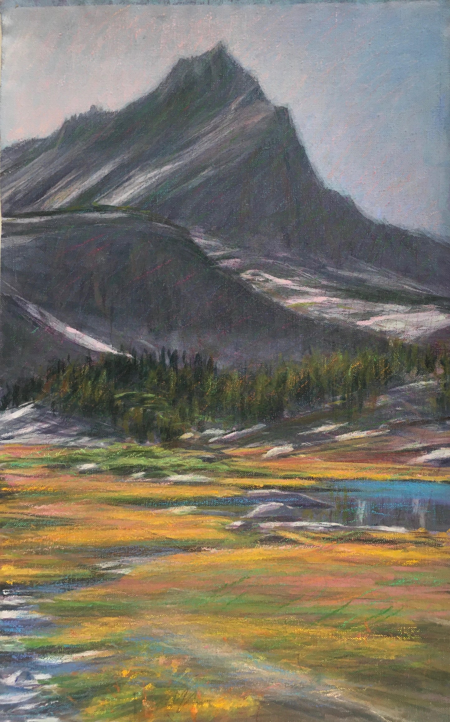 Meadows Below the Peak