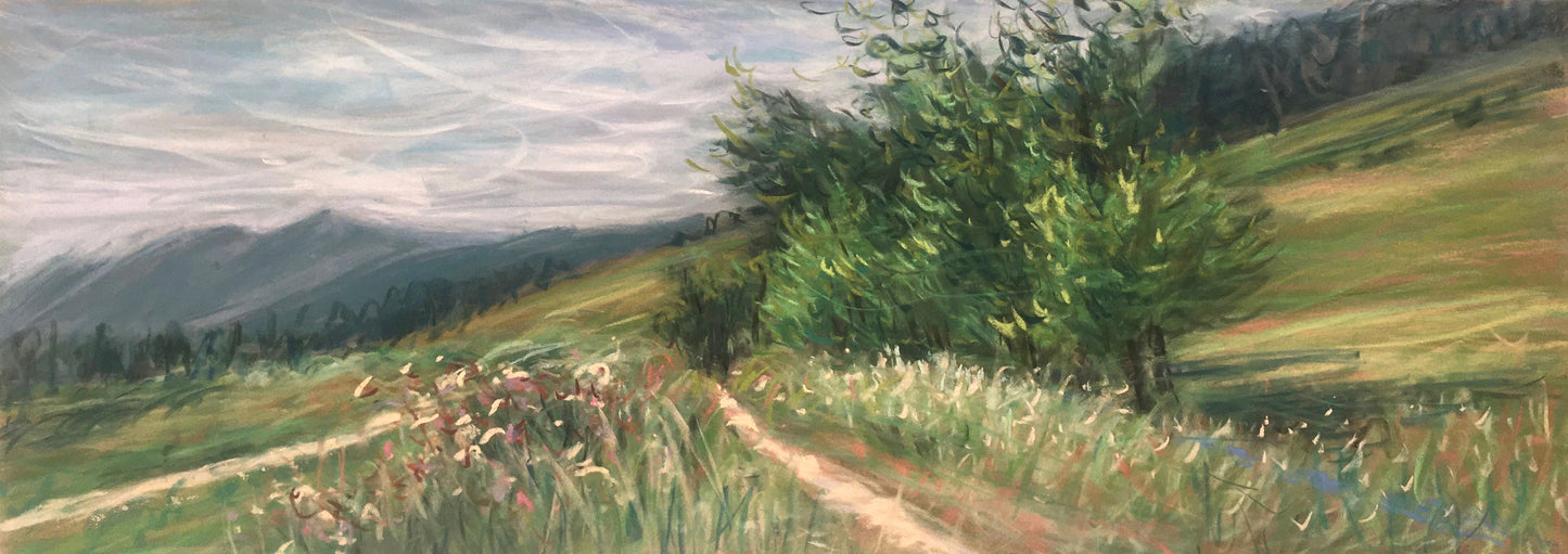 Colorado Trail, Spring