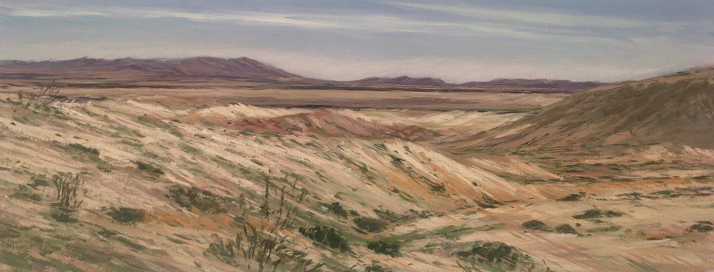 Anza Borrego I