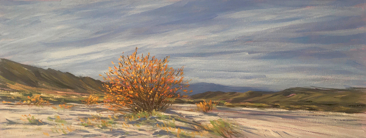 Anza Borrego II