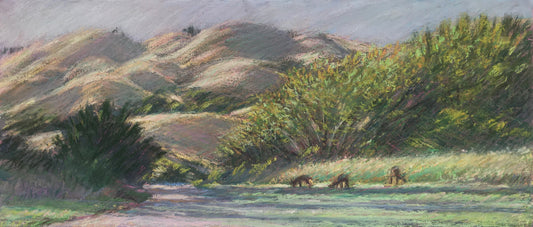 Valley With Deer