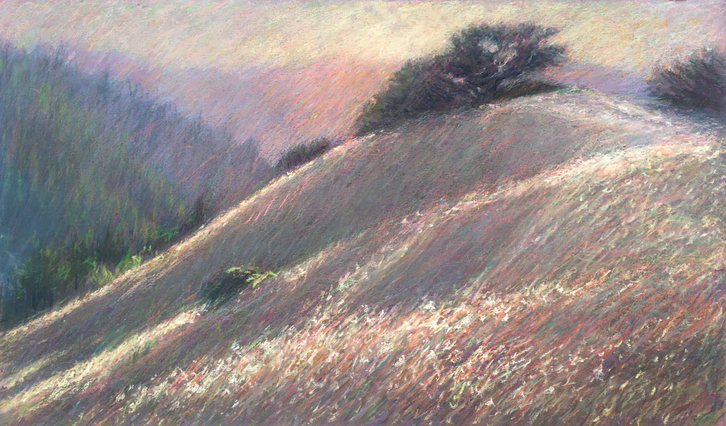 Twilight, Blueberry