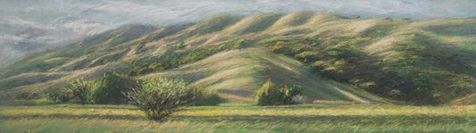 Flander's Ranch, Spring