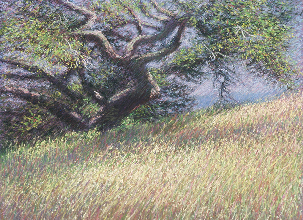 Blueberry Oak and Grass