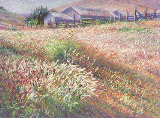 Cow Track Farm, Summer Light
