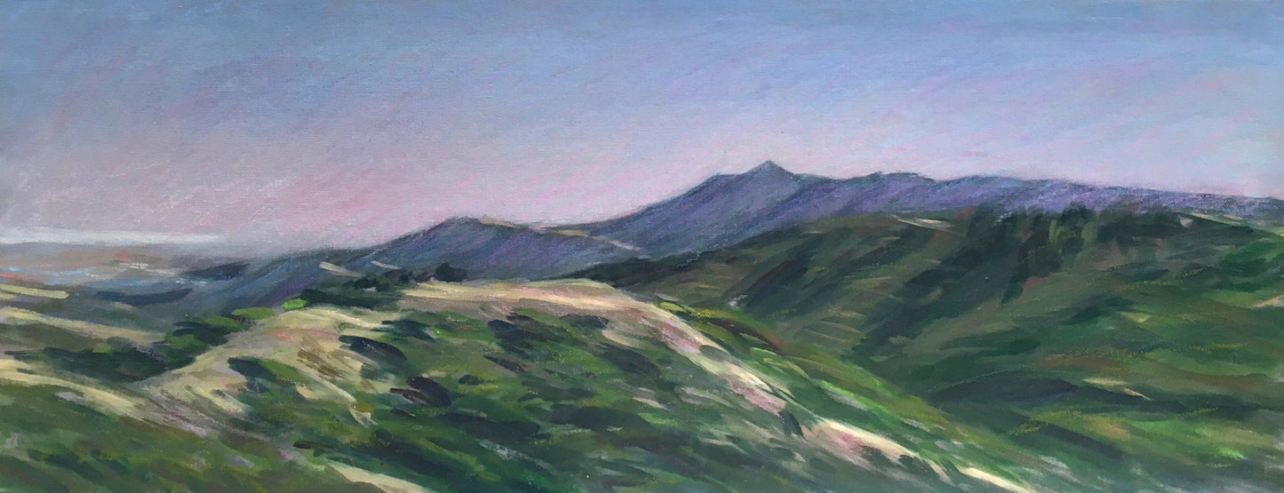 Marin View, From Loma Alta