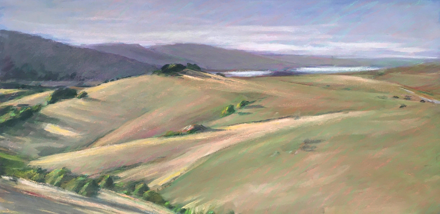 On Bolinas Ridge Above Tomales Bay