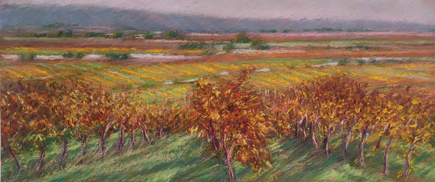 Sonoma Vines