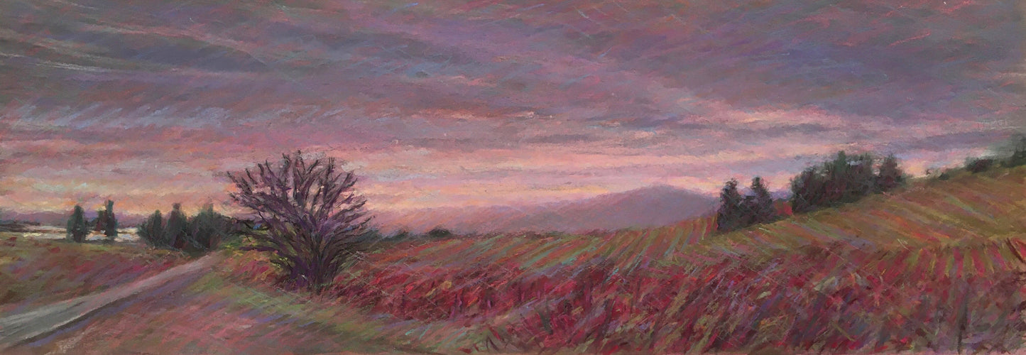 Sunset, Sonoma County