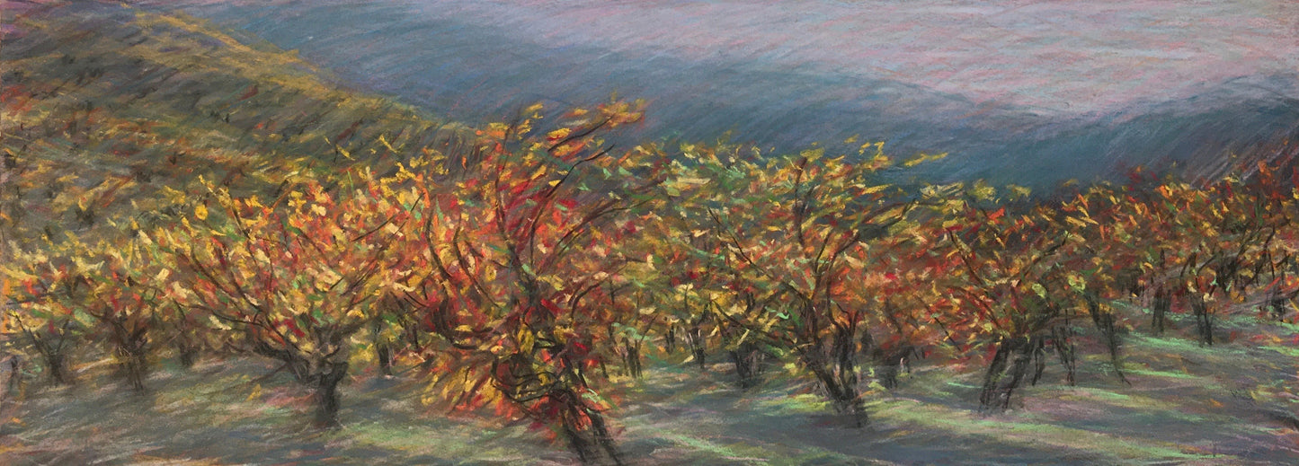Fall Vineyard, Dusk