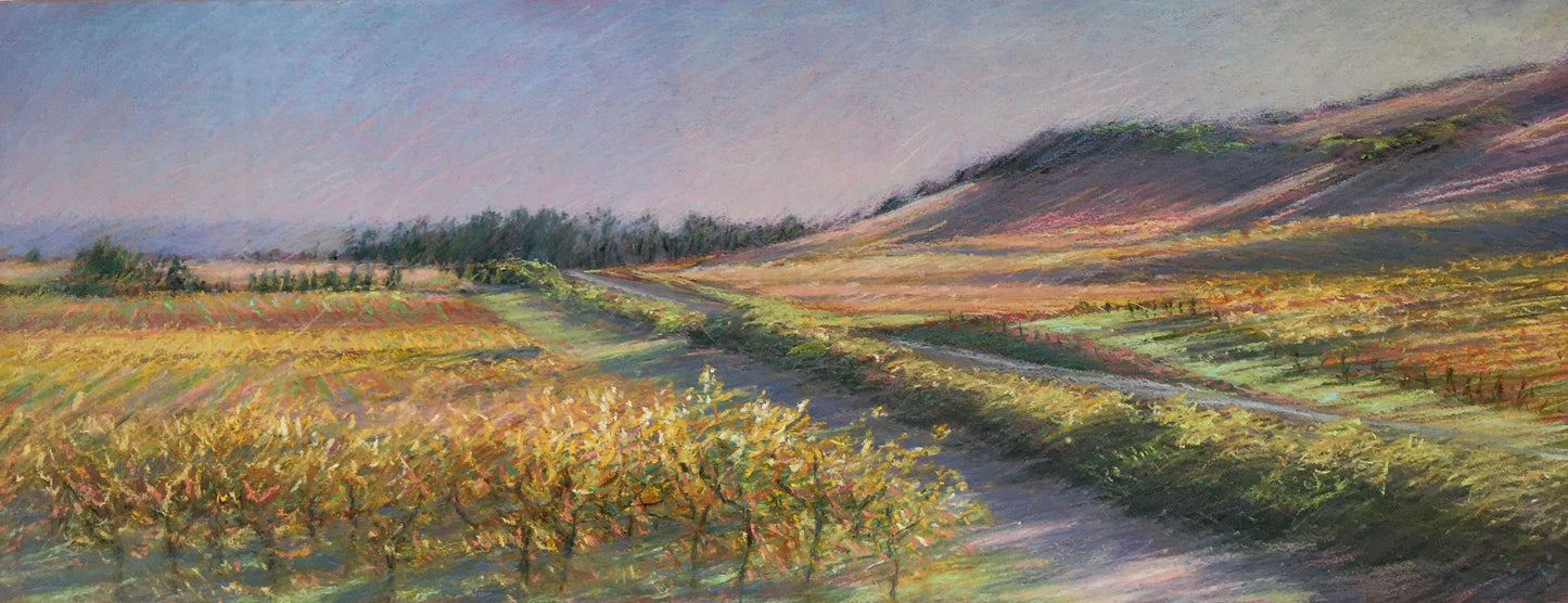 Vianza Vineyards, Afternoon