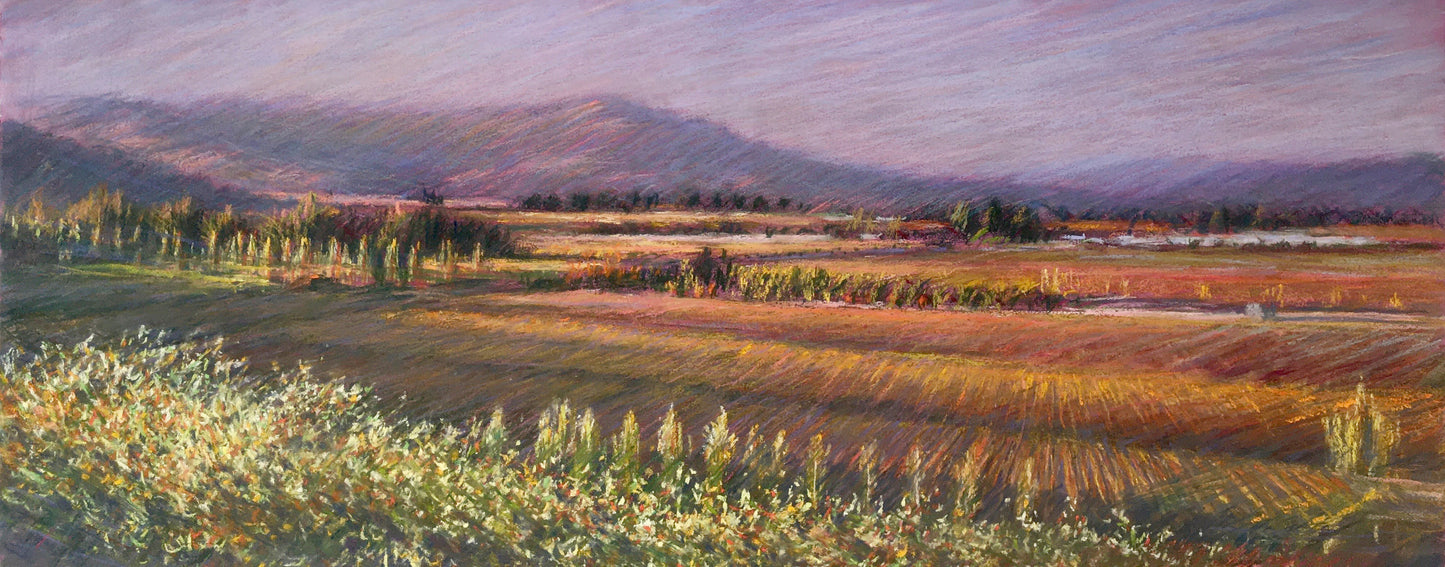Vianza Sunset